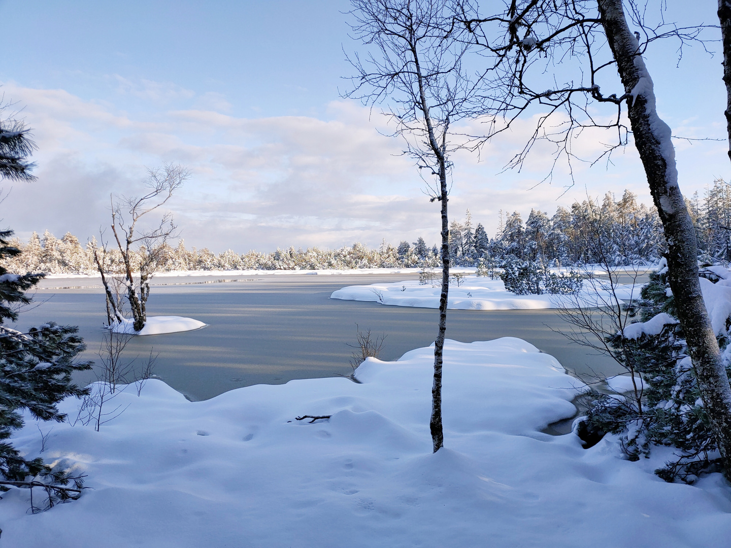 Großer Wildsee