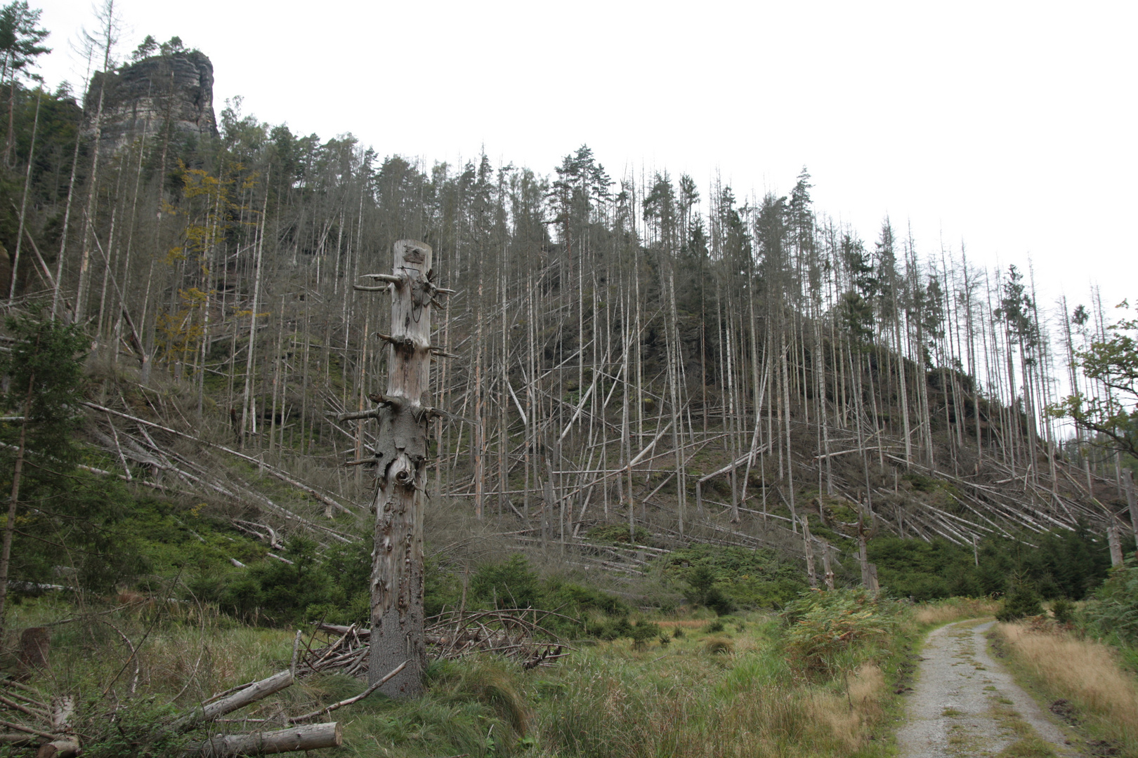 Großer Zschand ( vor dem Brand ) . Foto & Bild Bilder auf