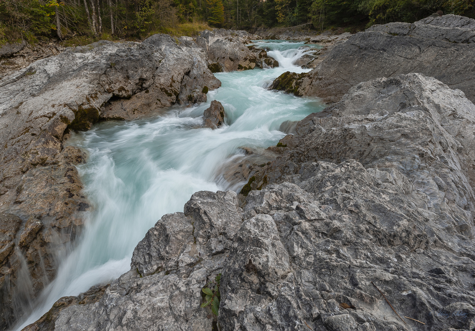 Großer_Ahornboden_Rißbach-6107