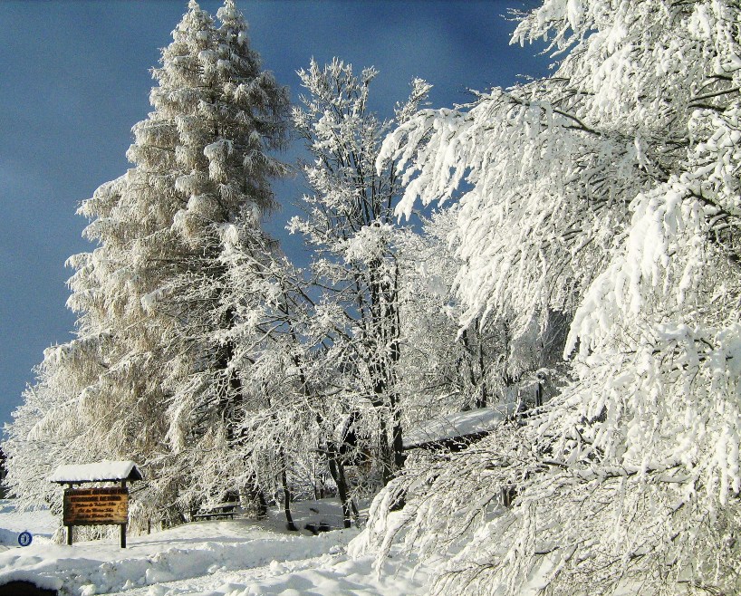 grosses chutes de neige