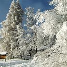 grosses chutes de neige