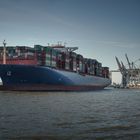 Großes Containerschiff am Tollerort Terminal in Hamburg