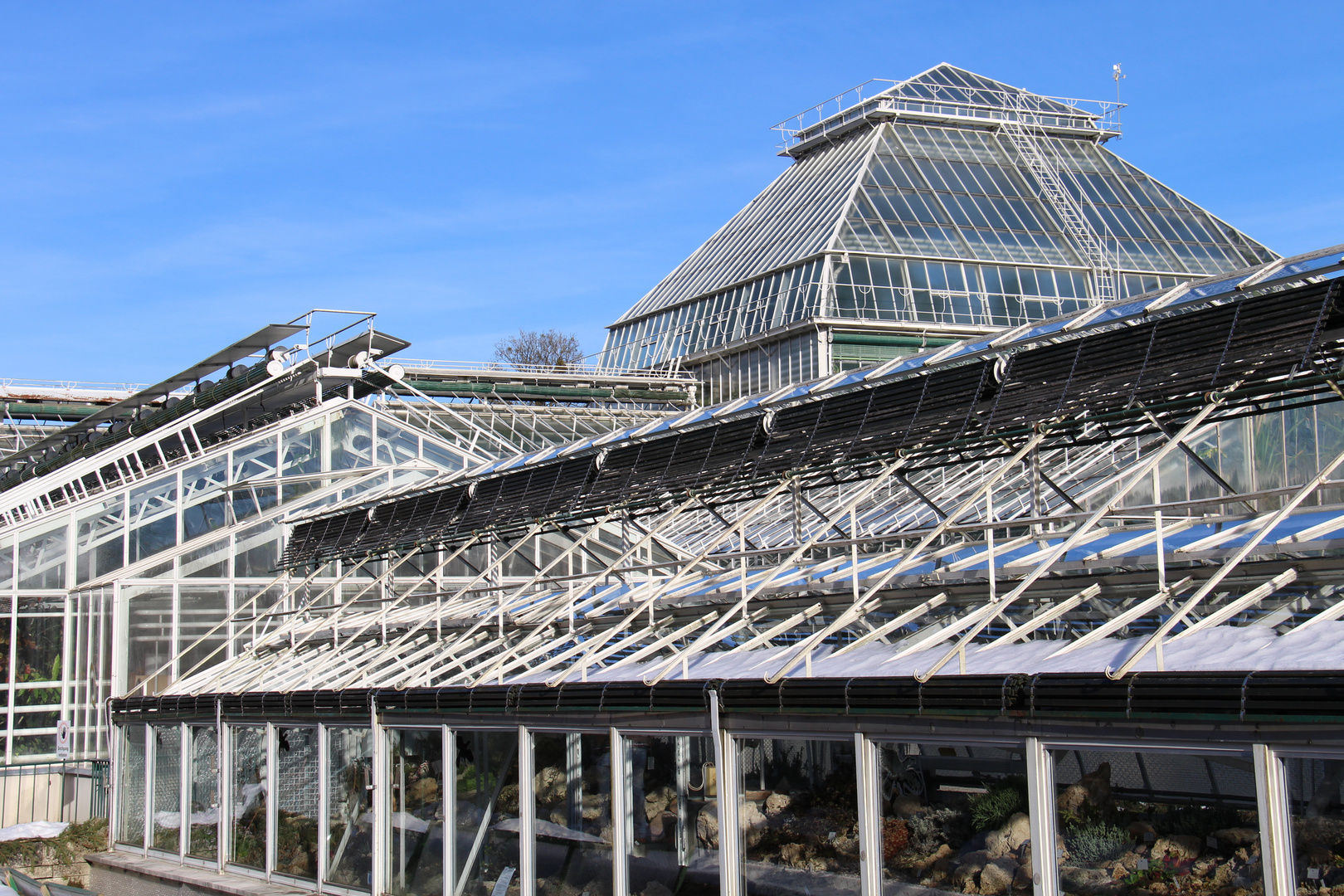 Großes Gewächshaus im Botanischen Garten München