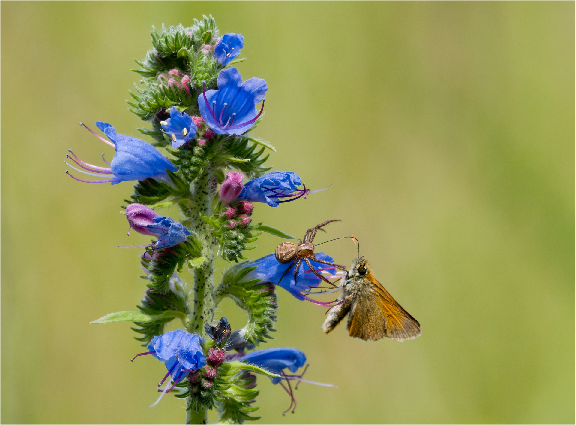 Großes Glück gehabt......