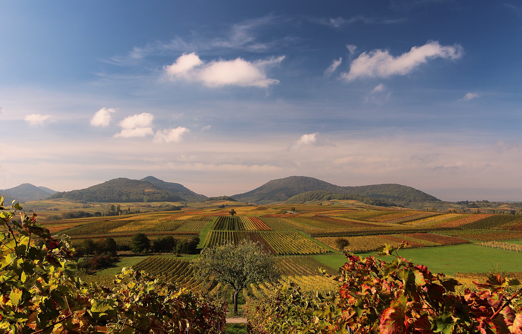 Großes Landschaftskino