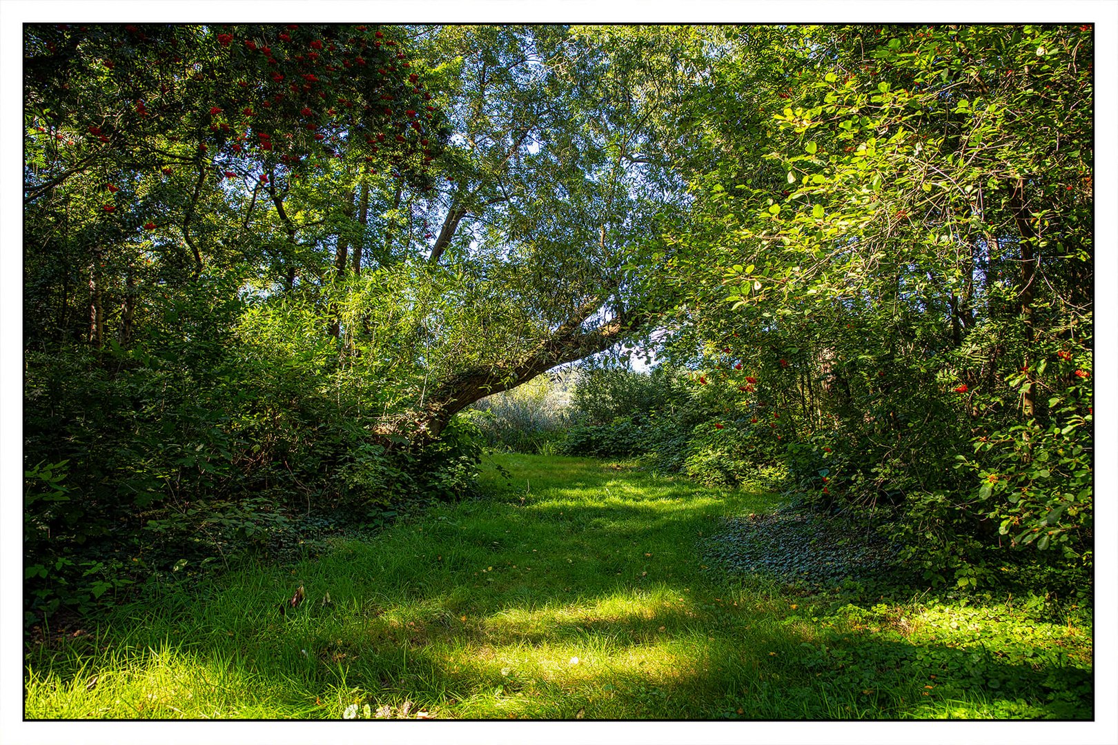 Großes Meer bei Holte