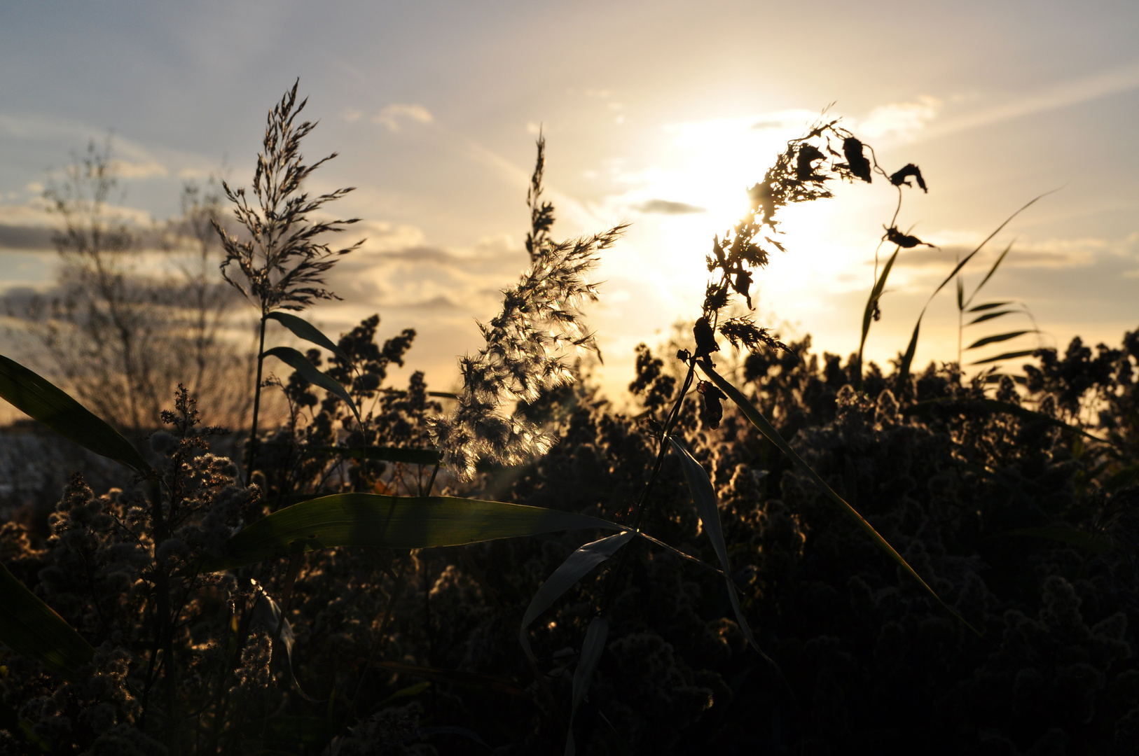 Großes Meer im Herbstlicht