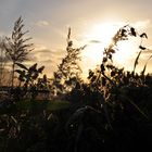 Großes Meer im Herbstlicht