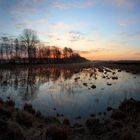 Grosses Moor morgens   -Pano-