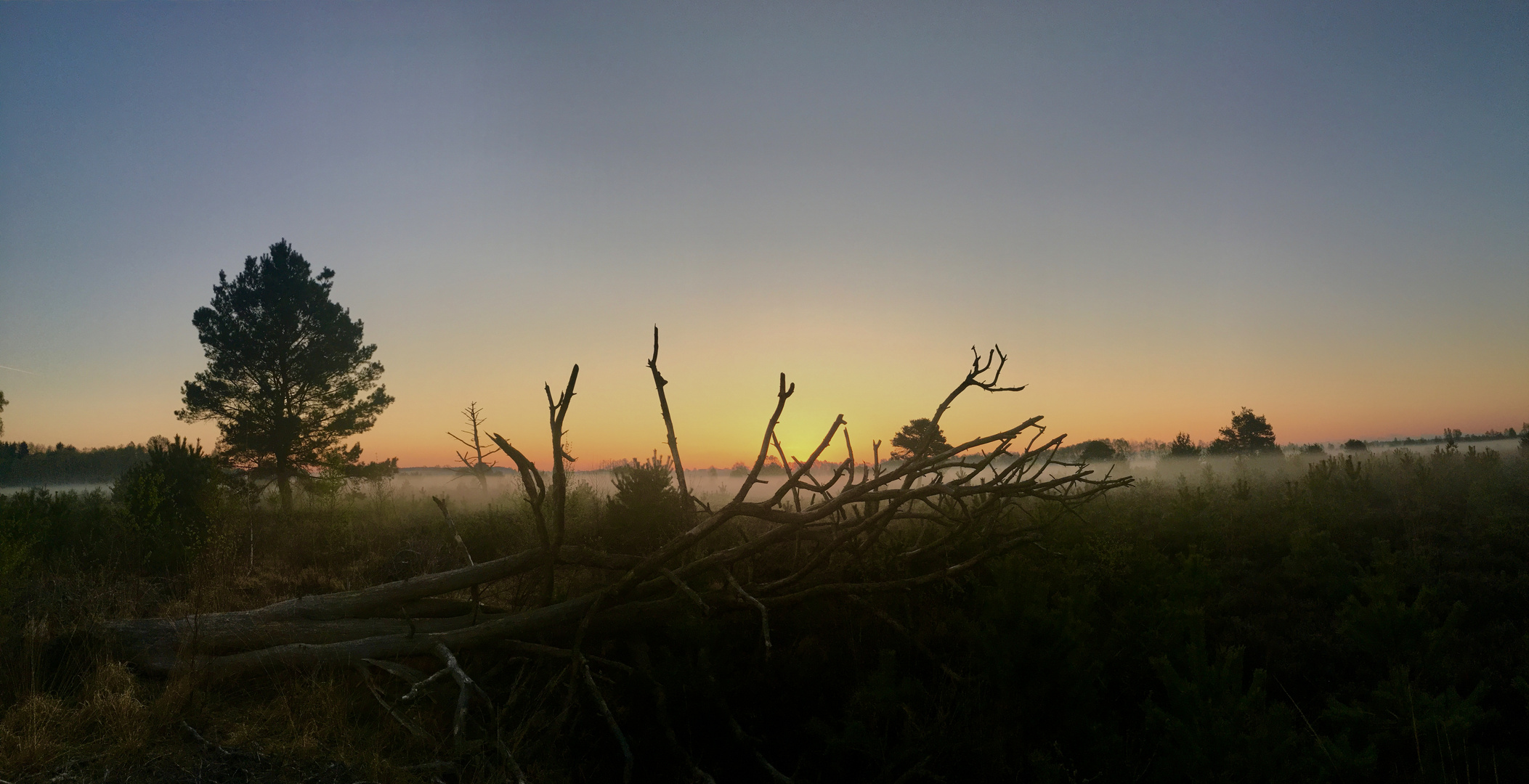 Grosses Moor - Pano mit dem Handy -