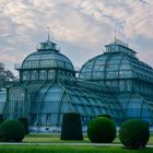 Großes Palmenhaus Schönbrunn