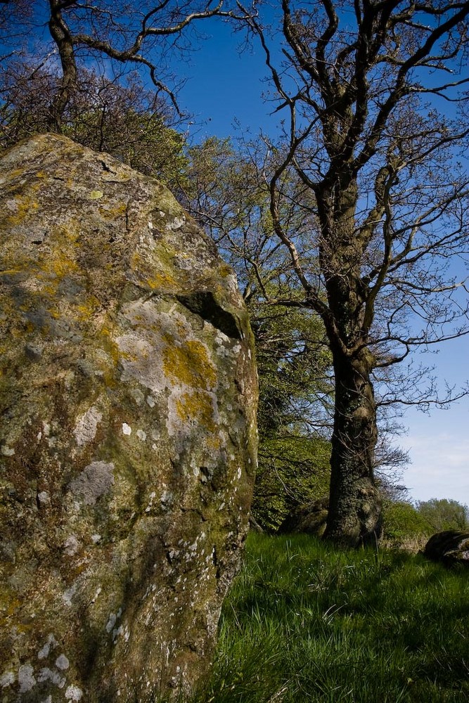 Großes Steingrab auf Rügen