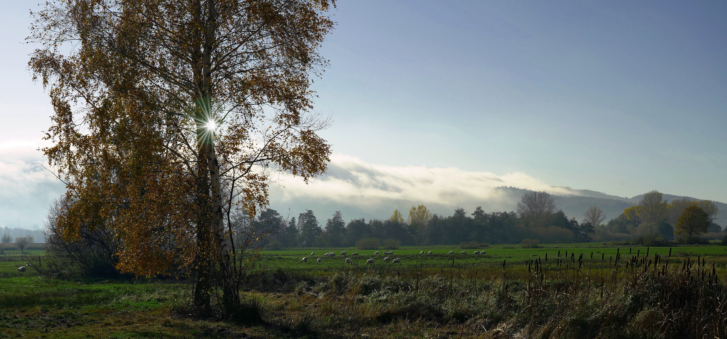 Großes Torfmoor