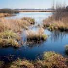 Großes Torfmoor bei Hille