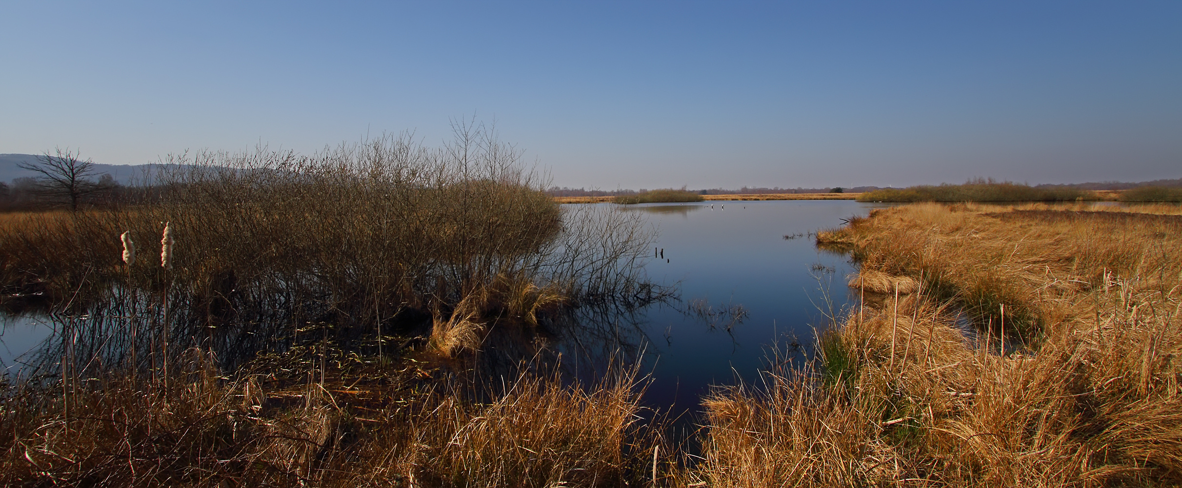 Großes Torfmoor bei Hille