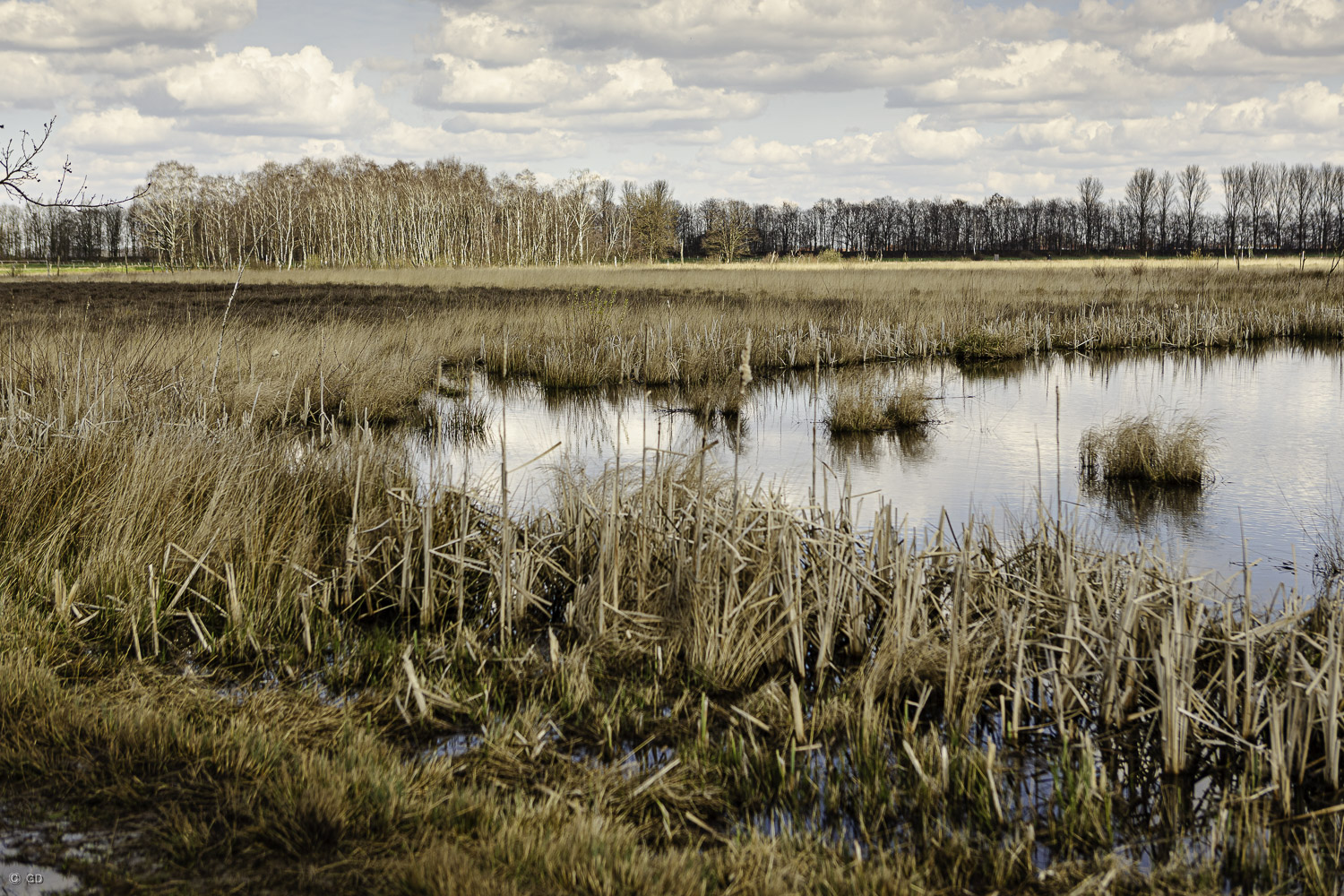 Großes Torfmoor