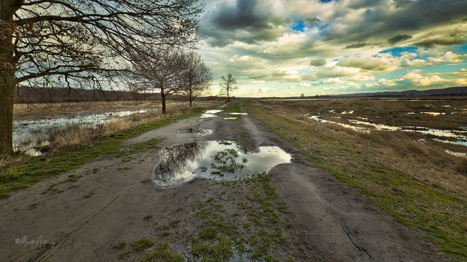 Großes Torfmoor in Hille