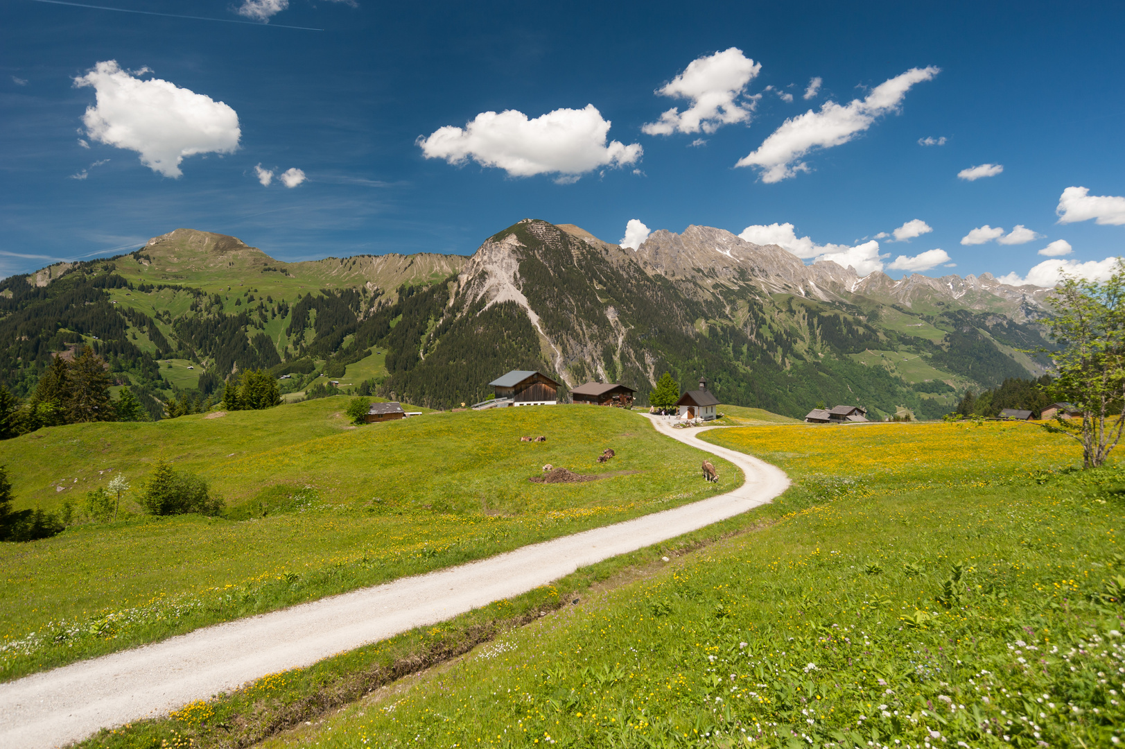 Großes Walsertal