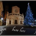 grosseto