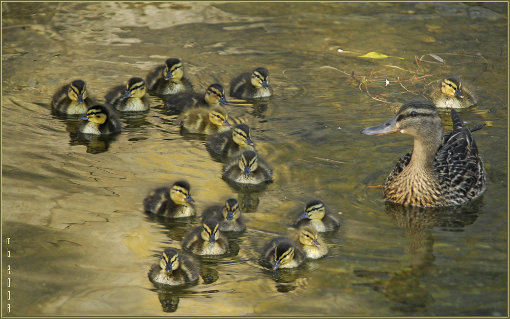 Großfamilie