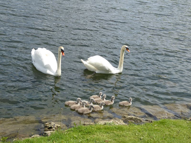 Großfamilie....