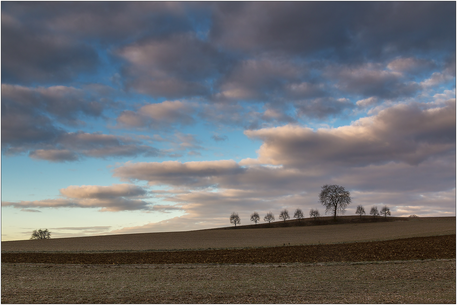 Großfamilie Baum