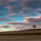 Großfamilie Baum