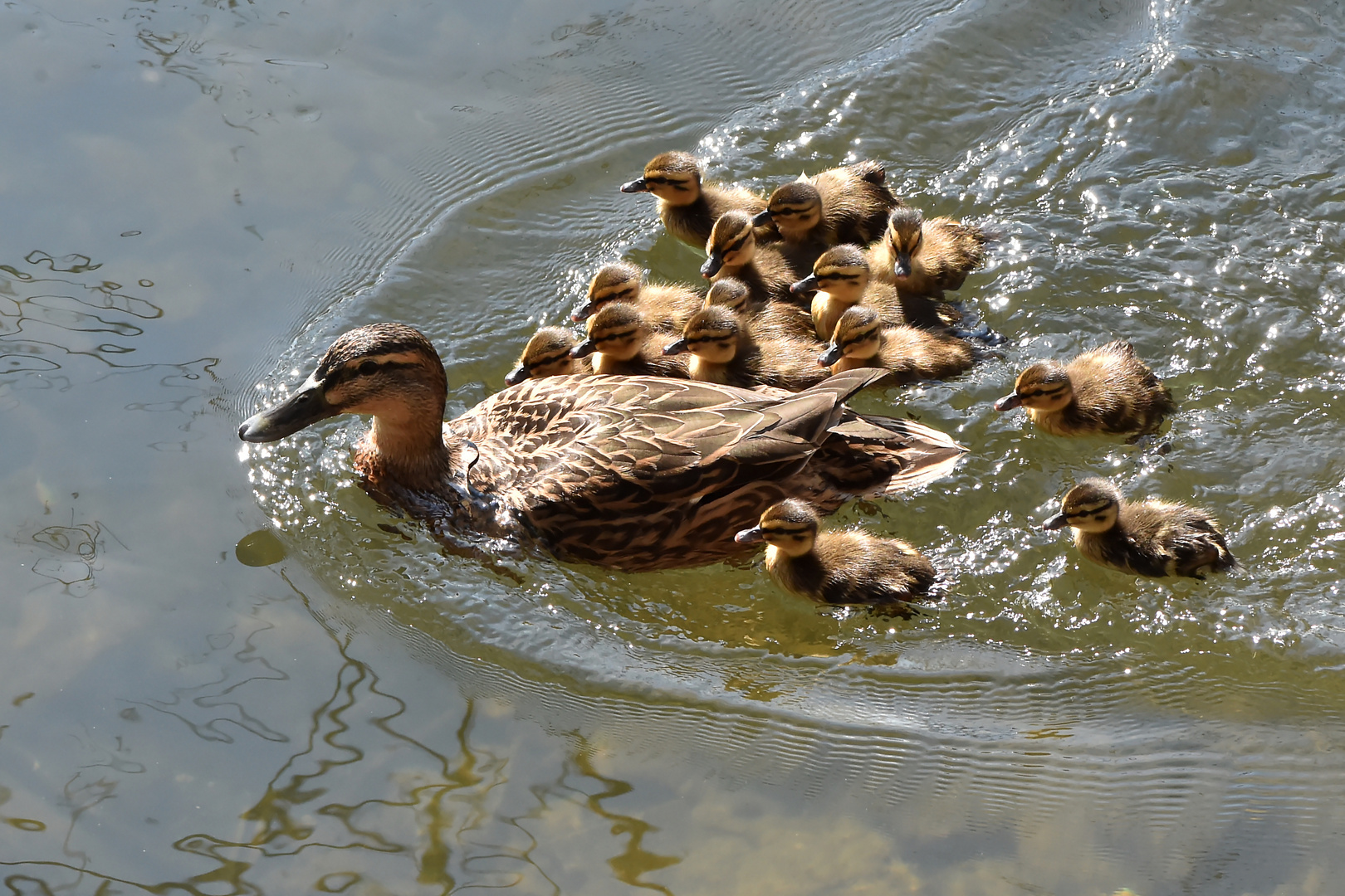 Großfamilie