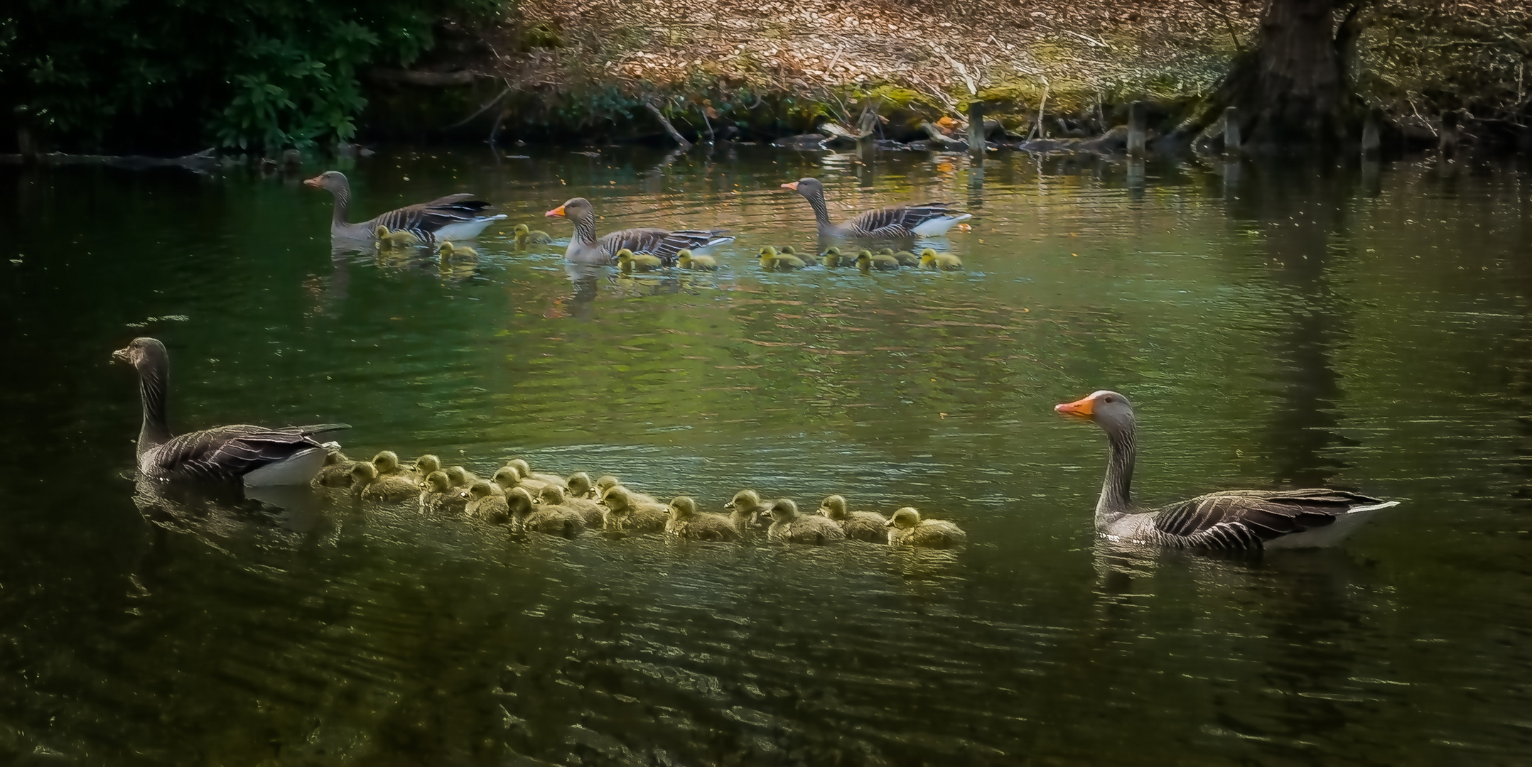 Großfamilie(n)