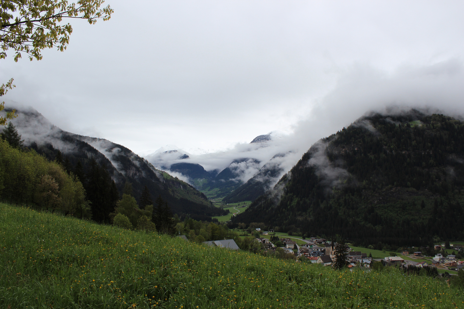 Großglockner 1