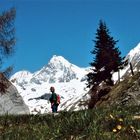 Großglockner