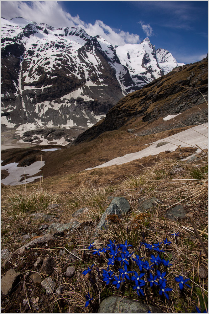 Großglockner