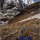 Großglockner