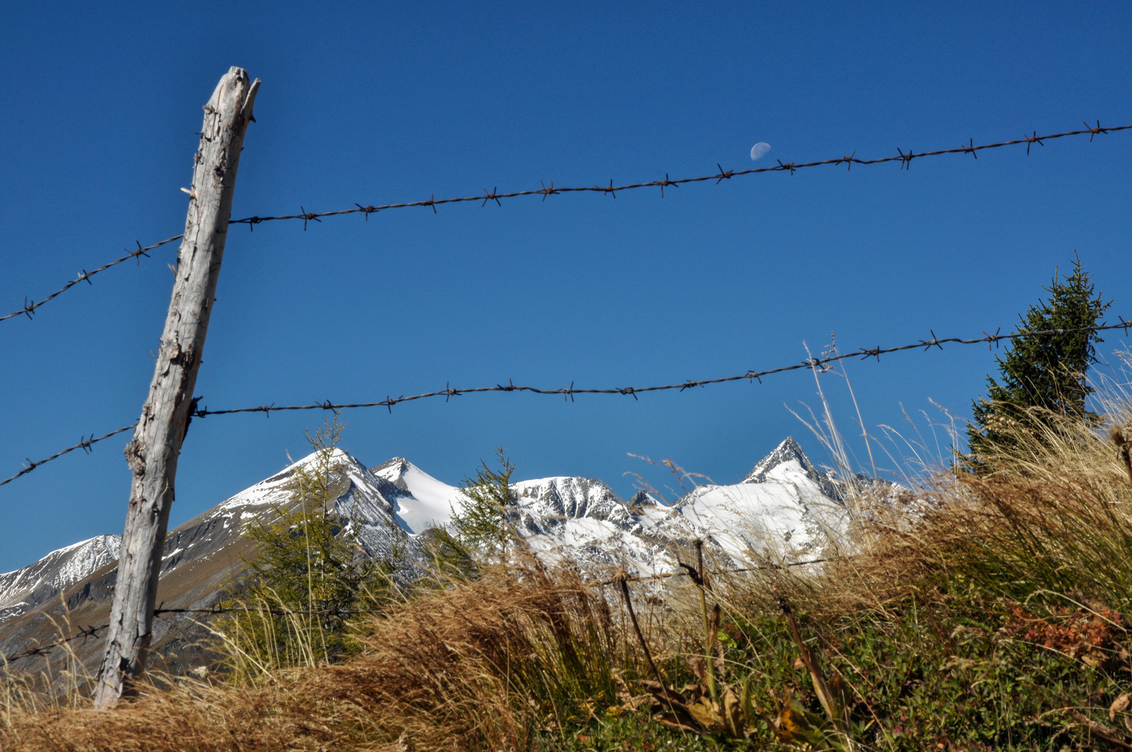 Großglockner