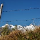 Großglockner