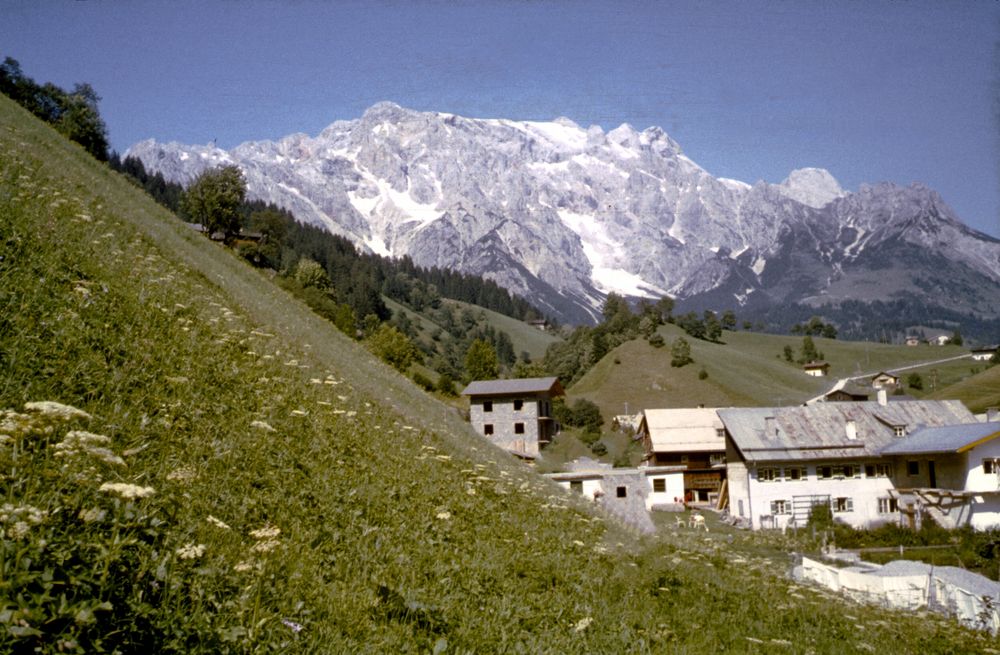 Großglockner blick