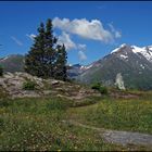 Großglockner-Blick