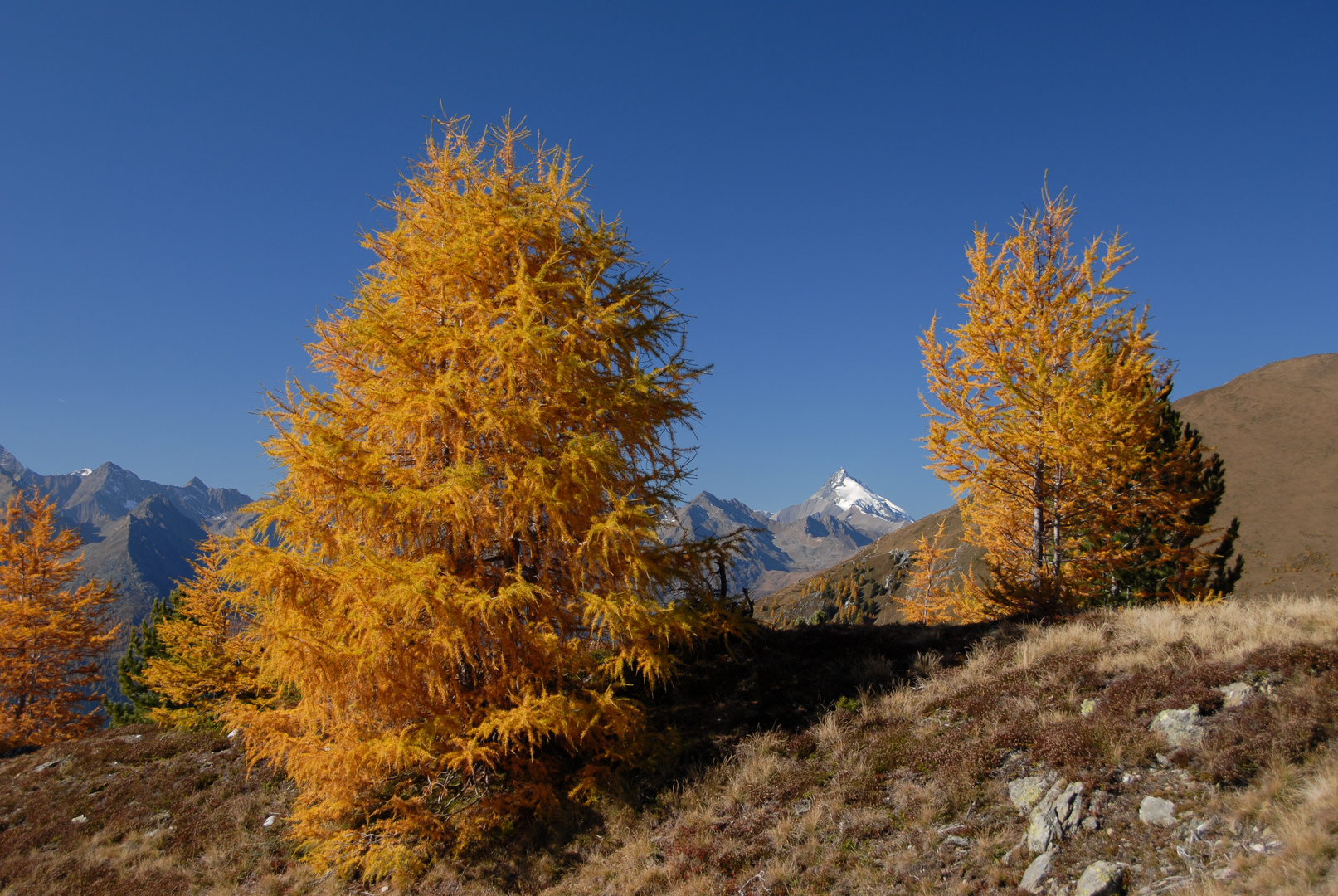 Großglockner, der König der Berge im goldenen Oktober