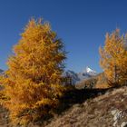 Großglockner, der König der Berge im goldenen Oktober