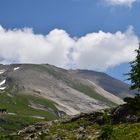 Großglockner einsamer Baum