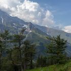 Großglockner Hochalpenstraße 1