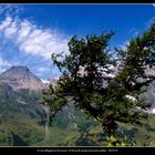 Großglockner-Hochalpenstraße 1