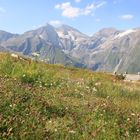 Großglockner - Hochalpenstraße