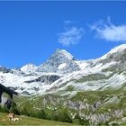 Großglockner und Lucknerhütte