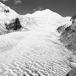 Großglockner und Pasterzengletscher 1963 S/W