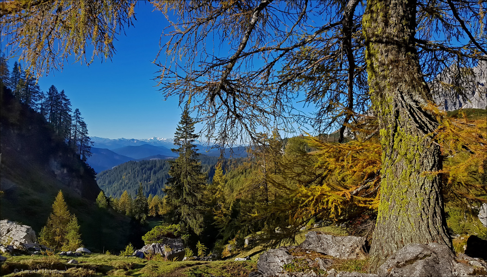 Großglocknerblick