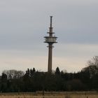 Großhau Fernmeldeturm