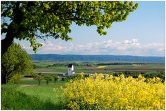 Großmugl im Frühling