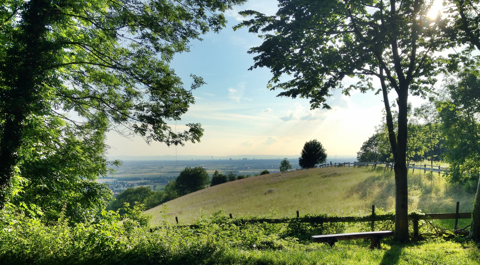 Großsachen, Hirschberg - Sommer 2012