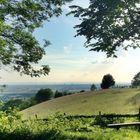 Großsachen, Hirschberg - Sommer 2012